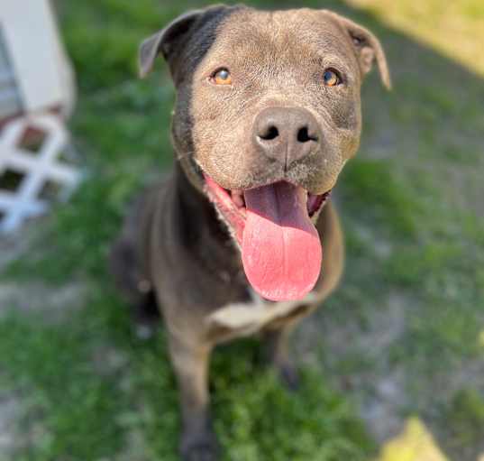 Photo of Jax