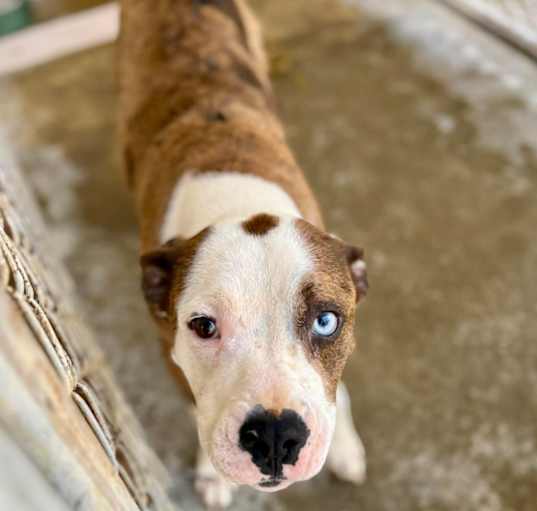 Photo of Polly