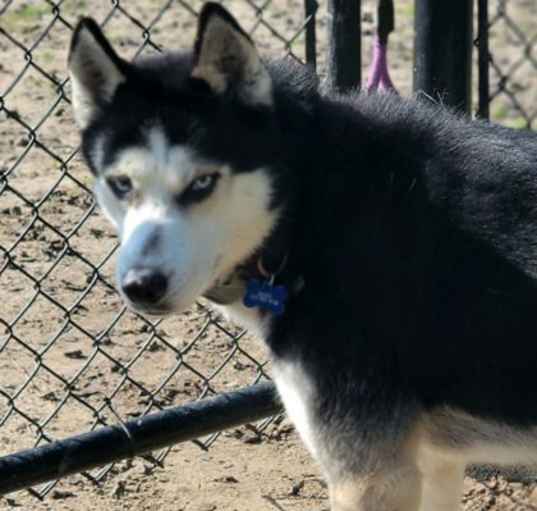 Photo of Ghost