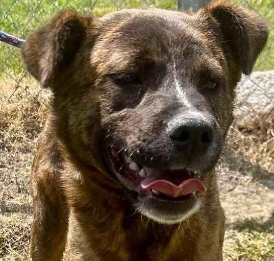 Photo of Winston