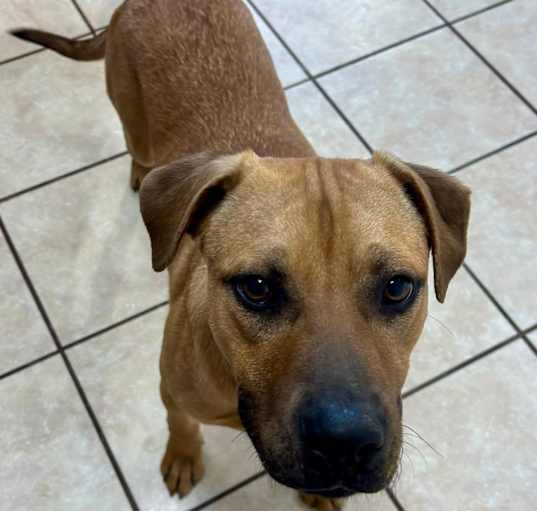 Photo of Hunter