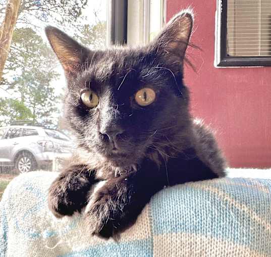 Photo of Flint