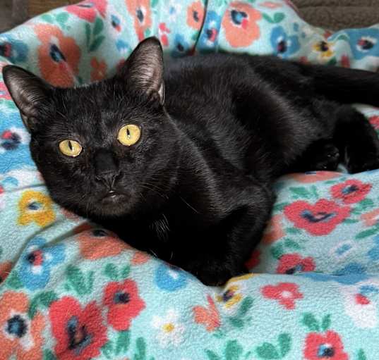 Photo of Ivan