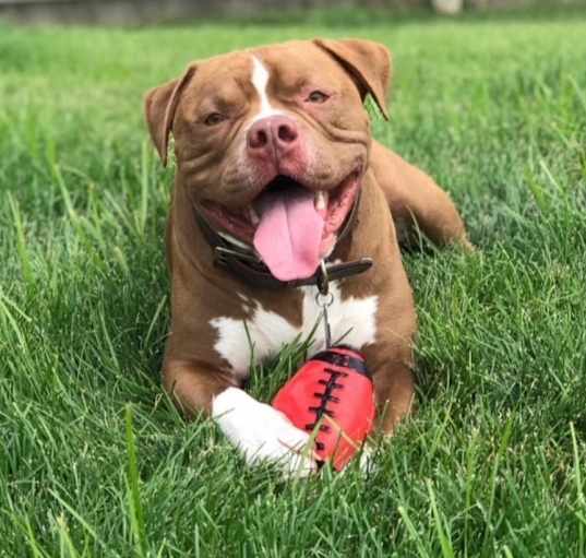 Photo of Bruce