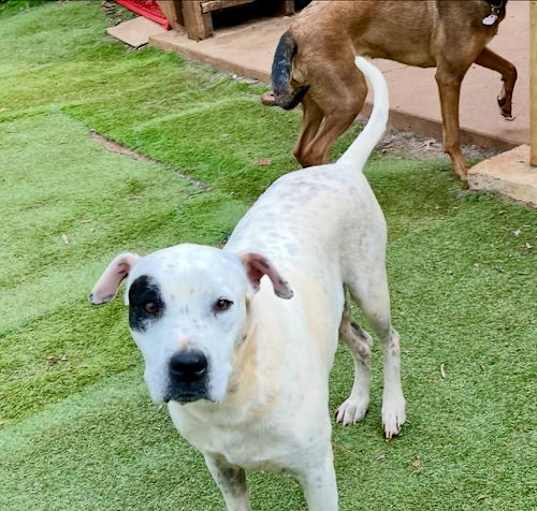 Photo of Dottie