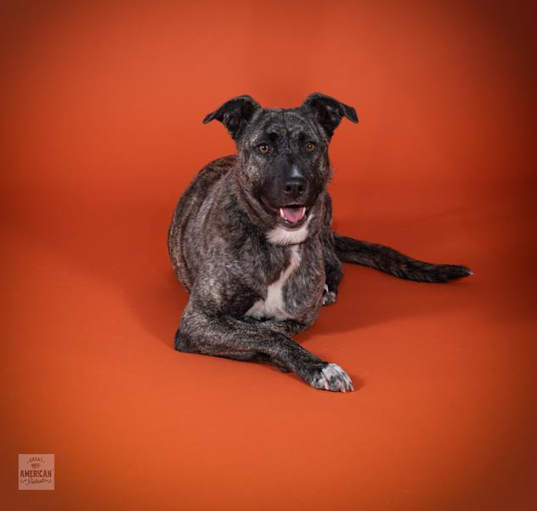Photo of RILEY