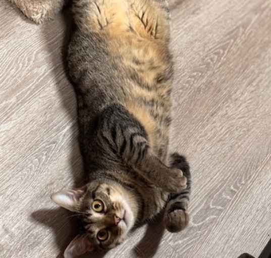 Photo of Buddy