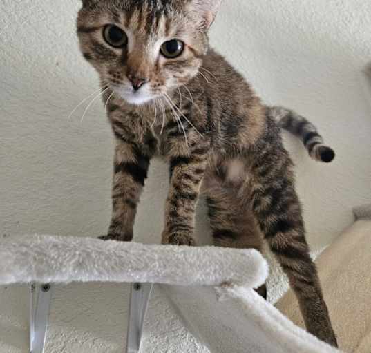 Photo of Quinn