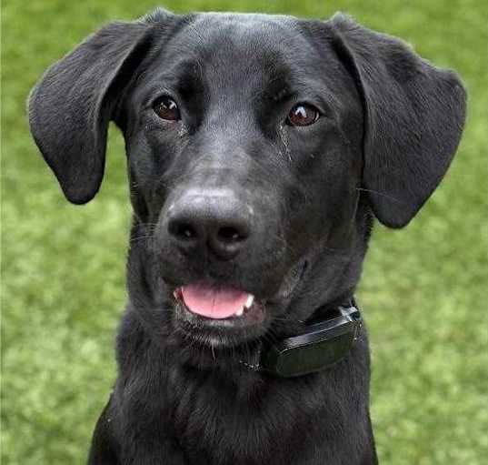 Photo of Hallie