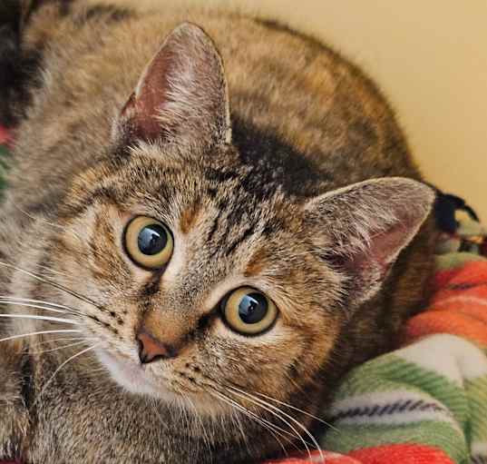 Photo of Nora