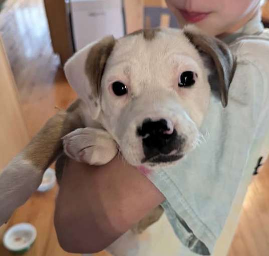 Photo of FRIEDA