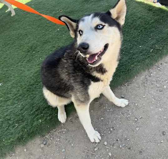 Photo of A116065