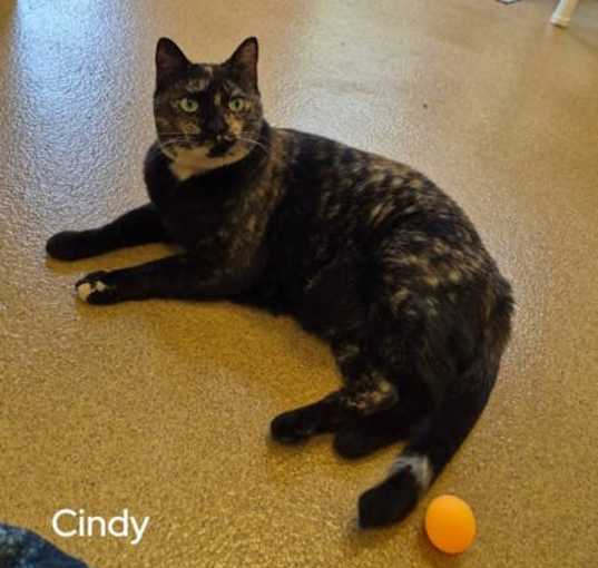 Photo of Cindy