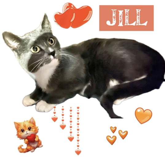 Photo of Jill
