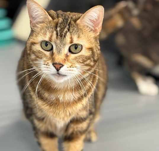 Photo of Thelma