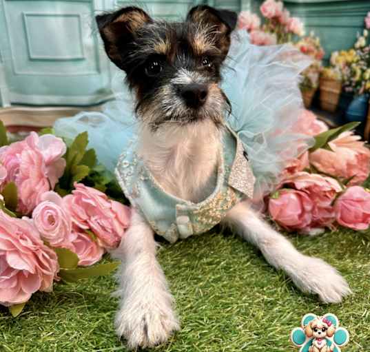Photo of Sadie Sue