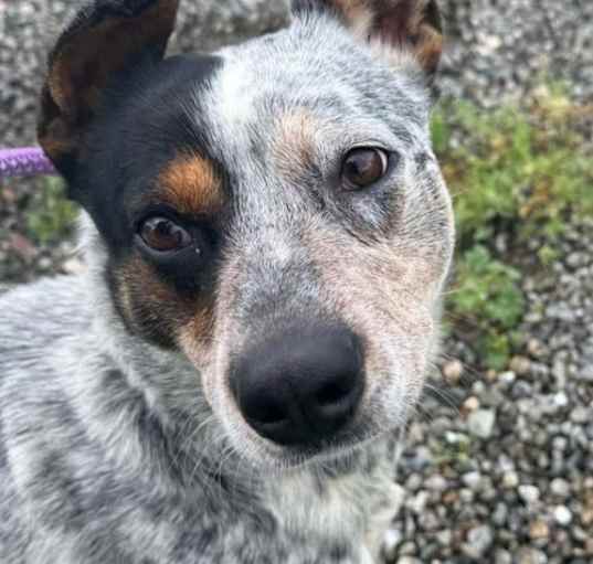 Photo of PIRATA