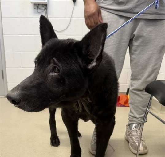 Photo of STORM