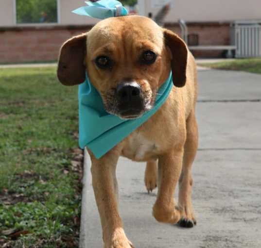 Photo of APRIL MAE