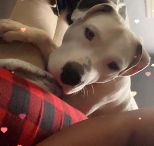 Photo of Caine
