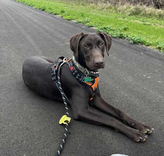 Photo of Maverick