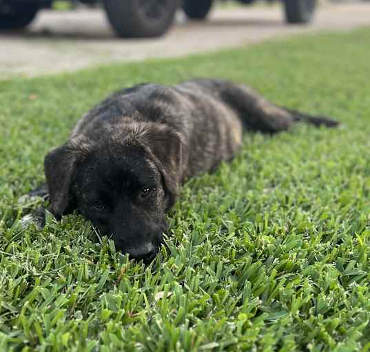 Photo of Benny