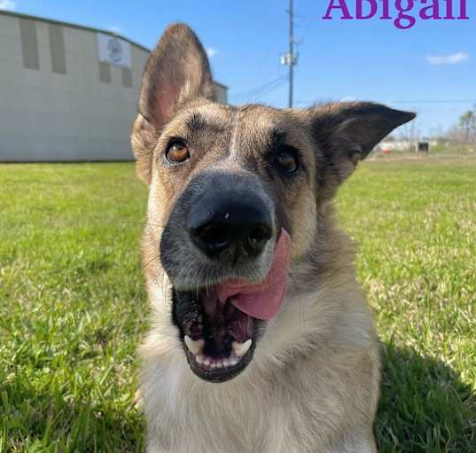 Photo of Abigail
