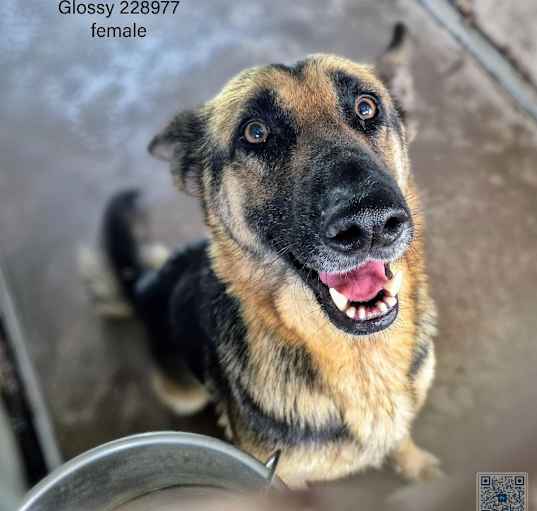 Photo of Glossy