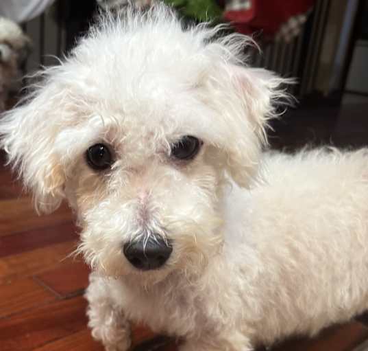 Photo of Lexi