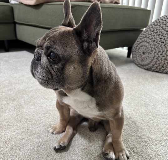 Photo of Winston