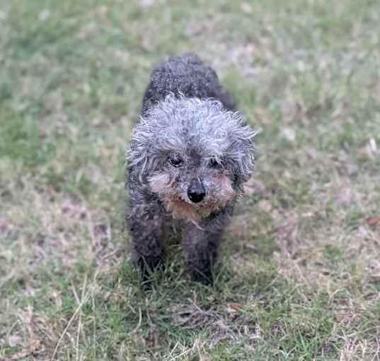 Photo of Chloe