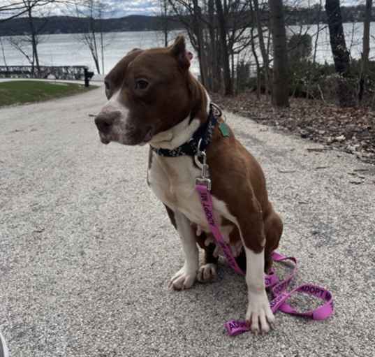 Photo of MAGGIE