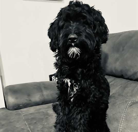 Photo of LUCY