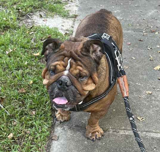 Photo of Zeus