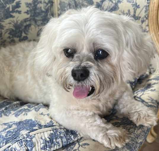 Photo of Flippa