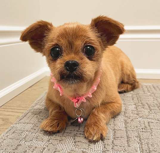 Photo of RUBY TUESDAY