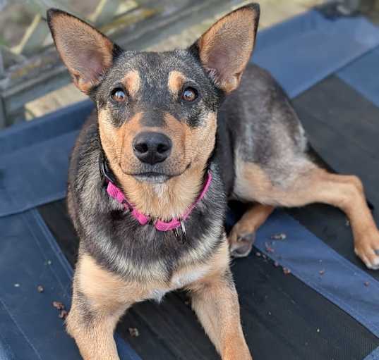 Photo of Heidi
