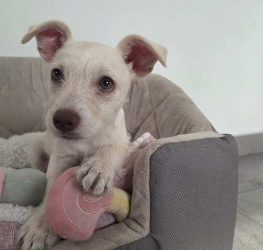 Photo of Fiona