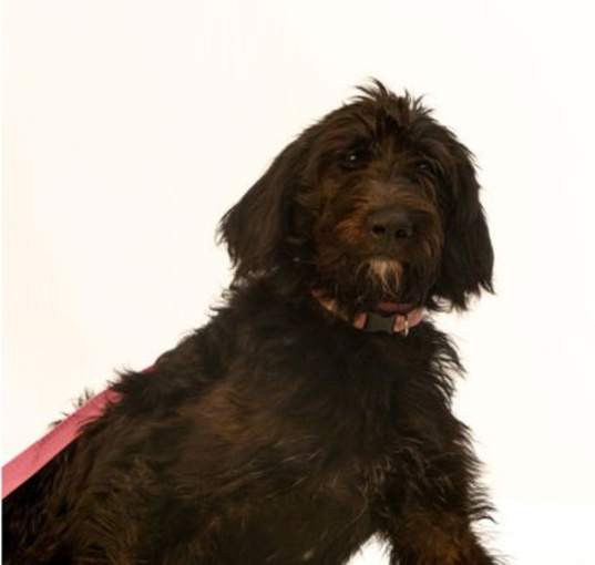 Photo of Ruffles