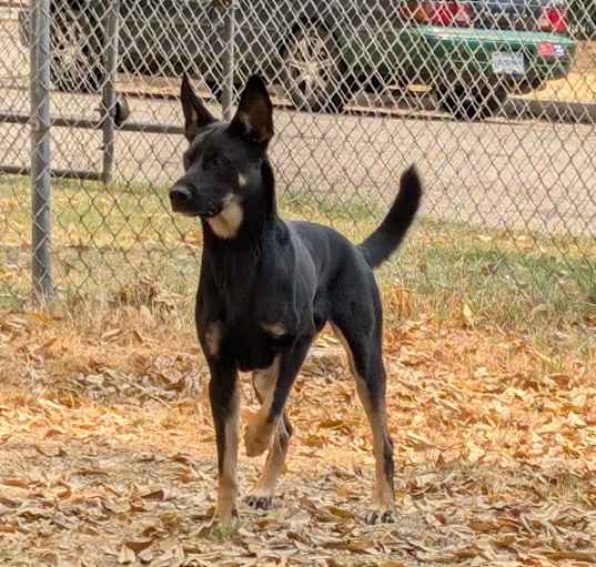 Photo of Korra