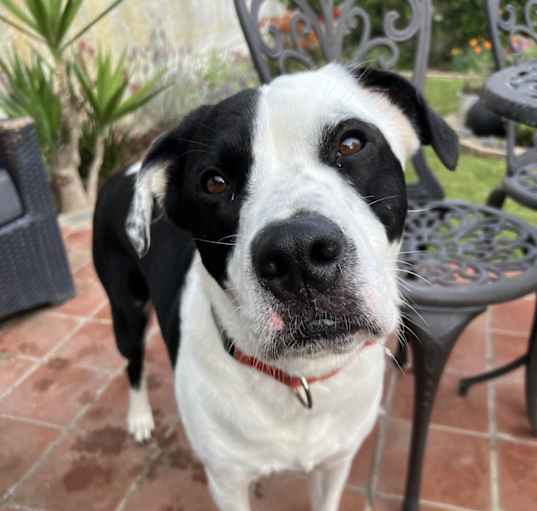 Photo of Southpaw