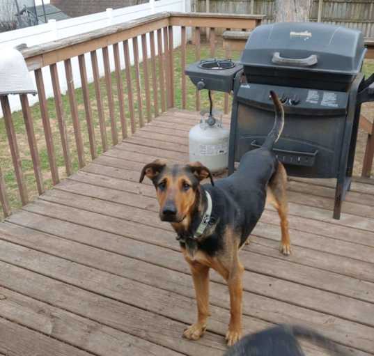 Photo of Molly