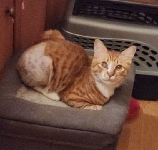 Photo of Jesse