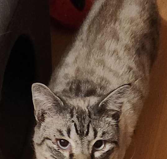 Photo of Luxor