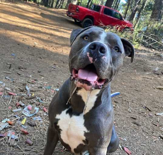 Photo of Biggie