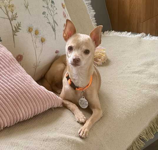 Photo of Sally