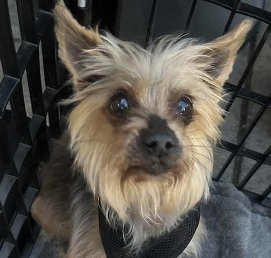 Photo of Gambit