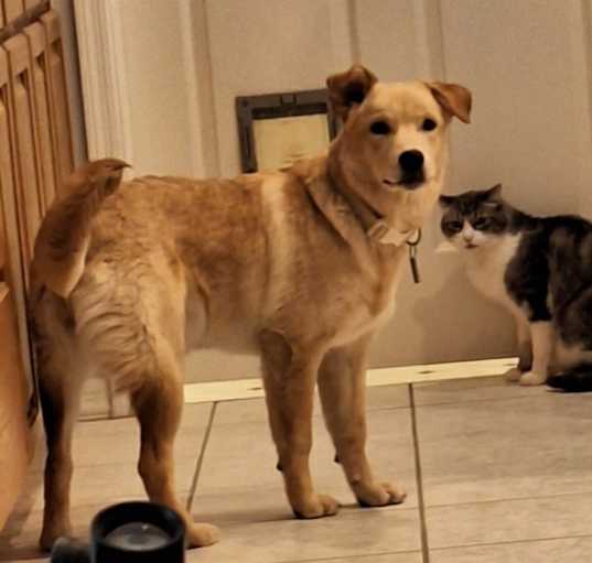 Photo of Butters