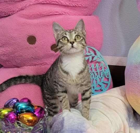 Photo of Cindy Lou Hoo