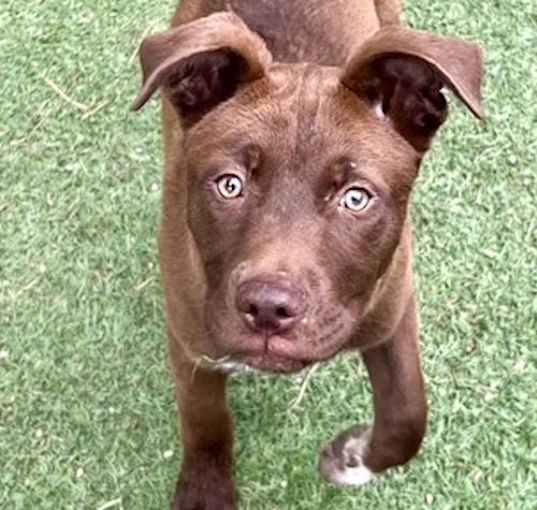 Photo of Charlie Brown